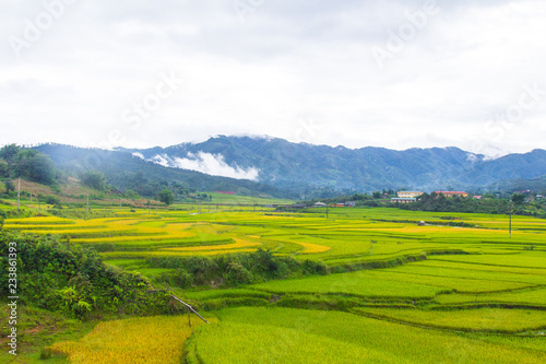 Beautiful view of rice terrace, mu cang chai, vietnam © hongyphoto