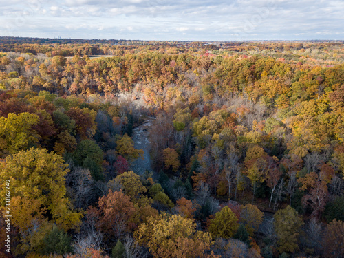 Fall Forest in Midwest Aerial Photography 
