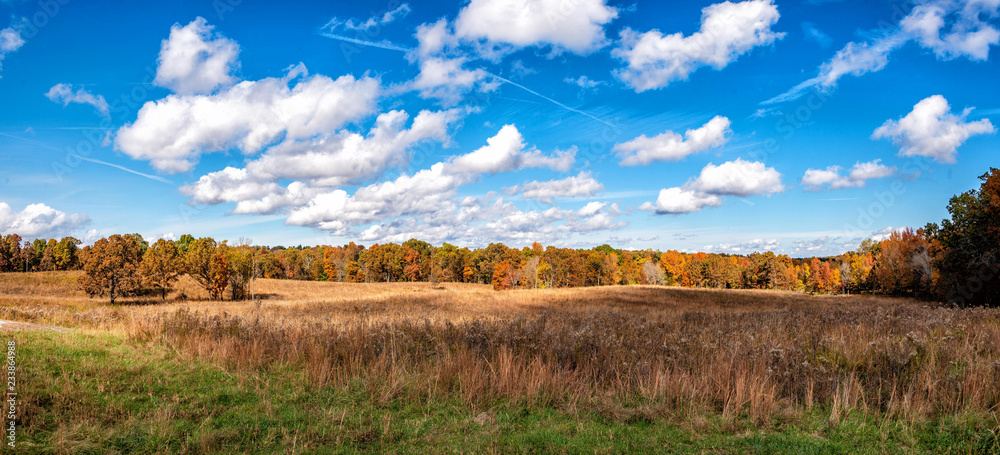 Fototapeta premium Autumn