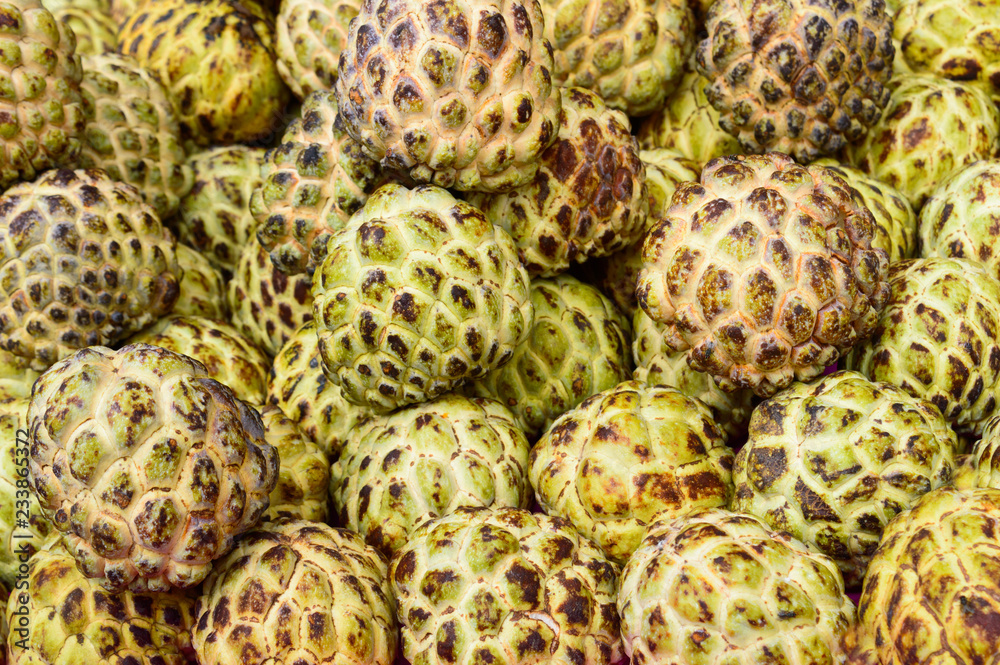 Obraz premium Sugar-apple, sweet sop, or custard apple botanical name ( Annona reticulata) Close up.