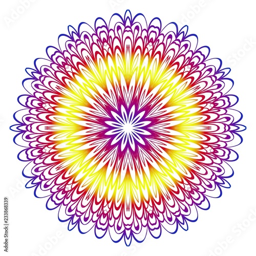 Modern Decorative floral color mandala. Modern Decorative floral color mandala. Vector illustration.