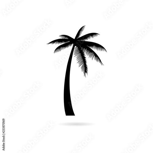 Black Silhouette palm tree  Palm tree icon or logo