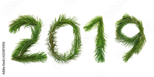 2019 New Year. Two thousand nineteen New Year. Numbers are made of a pine tree branches. Isolated on a white background
