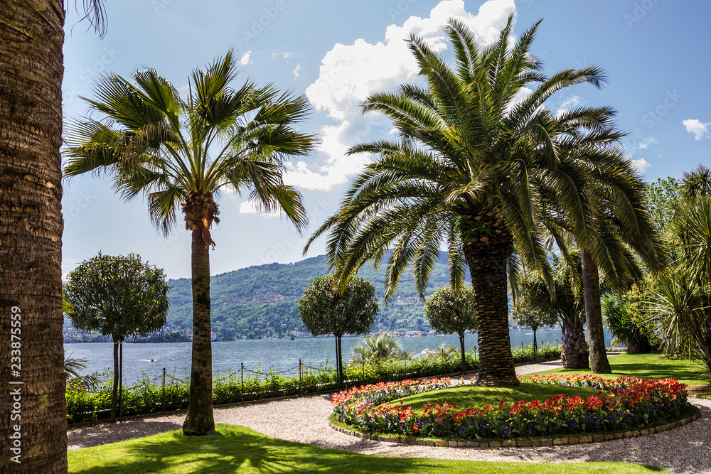 Botanical garden in Lombardy, Italy. Villa Taranto, Maggiore lake
