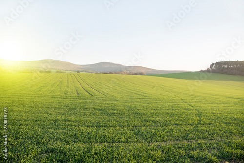 Green field and sky with morning glow. Mountain at the back
