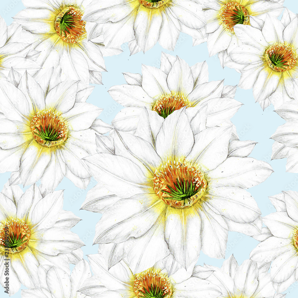 Fototapeta premium Seamless pattern of dragon fruit flowers
