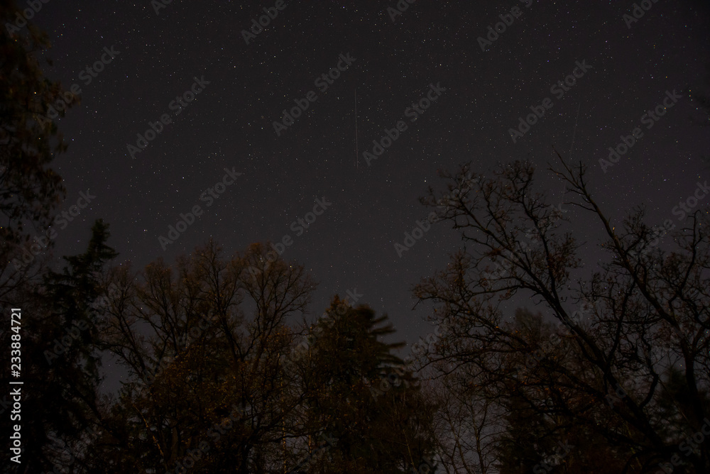 View of cassiopeia constellation above forest trees in northern sky. Autumn Night sky above trees in Germany. Starry autumn night. Starry night with satellite streaks