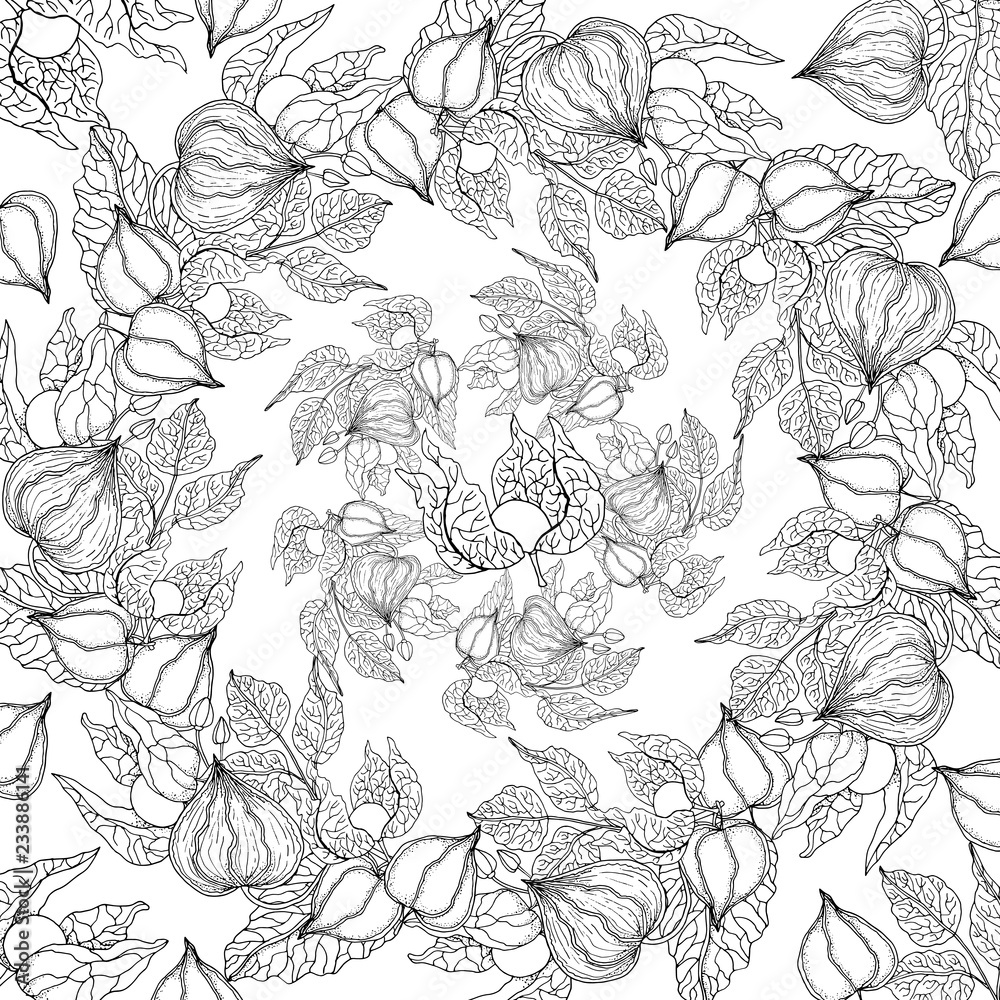 Fototapeta premium Doodle floral background in vector with doodles black and white coloring page