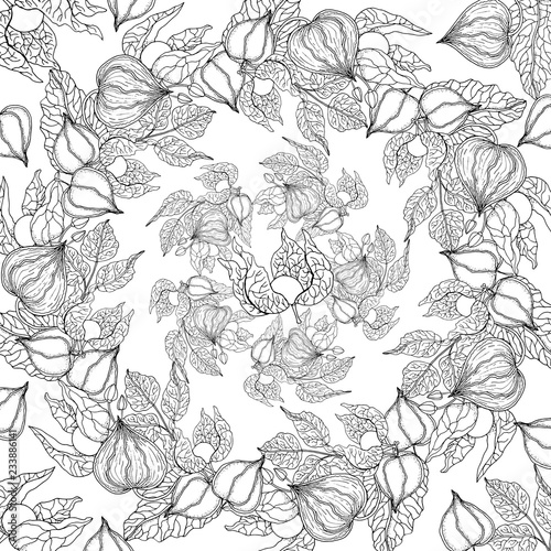 Doodle floral background in vector with doodles black and white coloring page