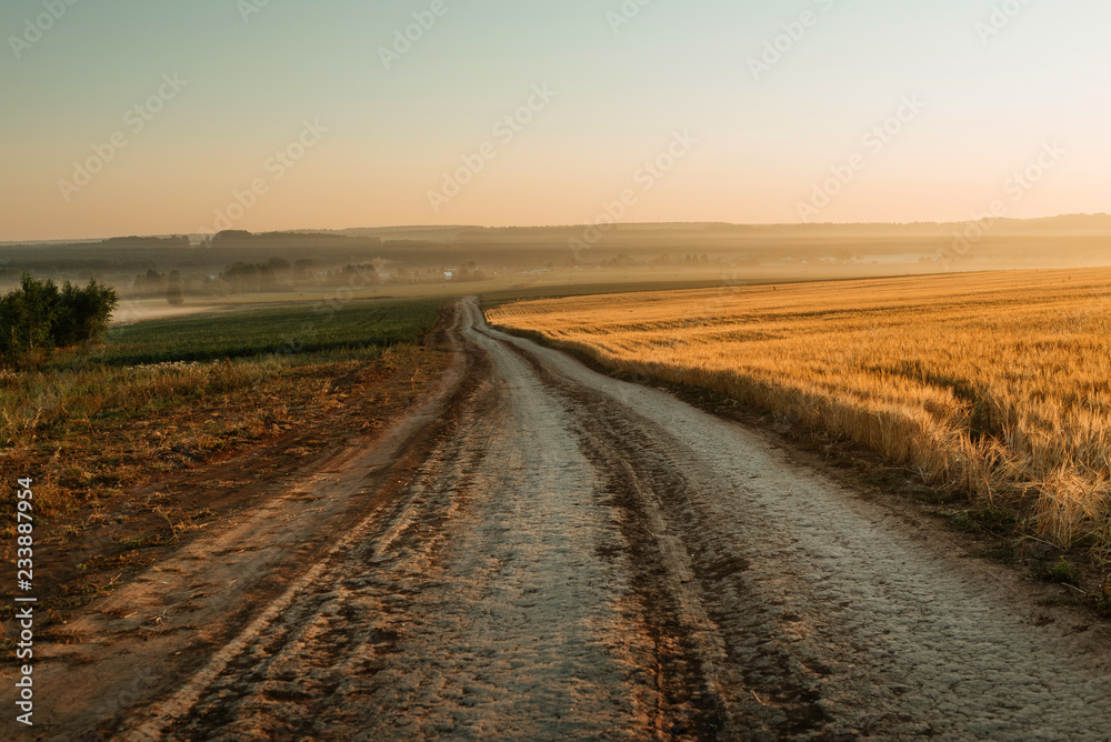 Road near rye field in sunrise.