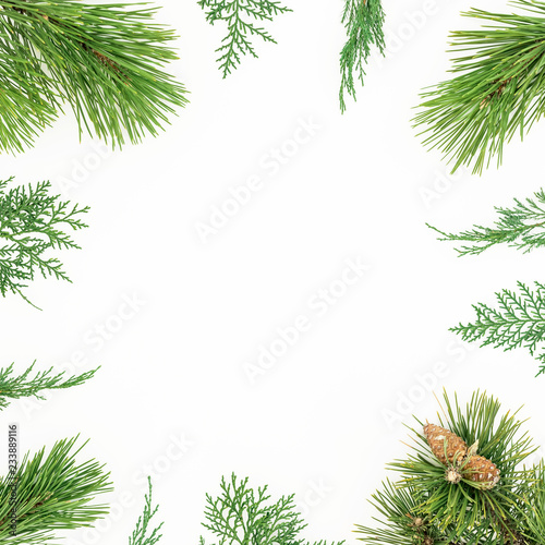 Christmas round frame of winter tree branches on white background. Festive winter background. Flat lay, top view