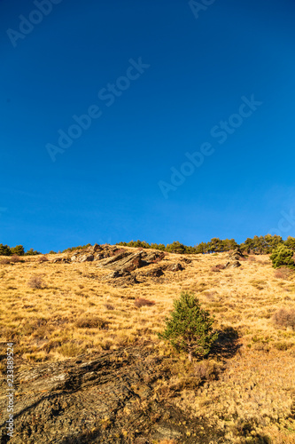 Hill with dry grass and blue sky in Andalucia, Spain