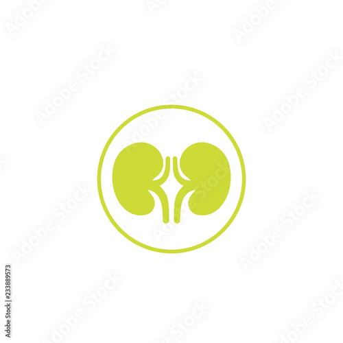 kidneys icon, simple vector