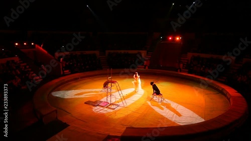 Woman dog trainer show at the circus