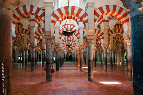 Mezquita Mosque Cathedral of Córdoba Andalucía Spain - Interior arches and colums view photo