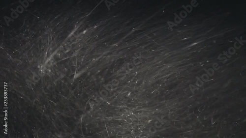 The blizzard in the windshield