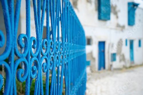 Aged Blue doors and windows in Andalusian style from Sidi Bou Said © Arsgera