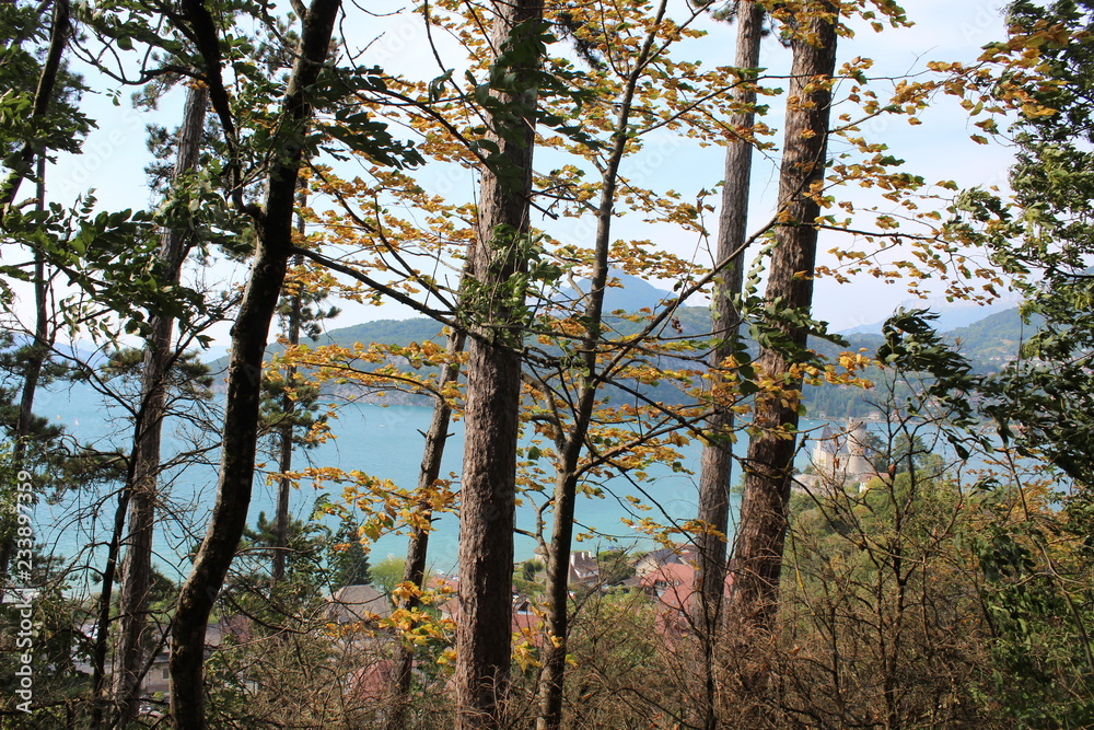 Fototapeta premium VILLAGE DE DUINGT - HAUTE SAVOIE