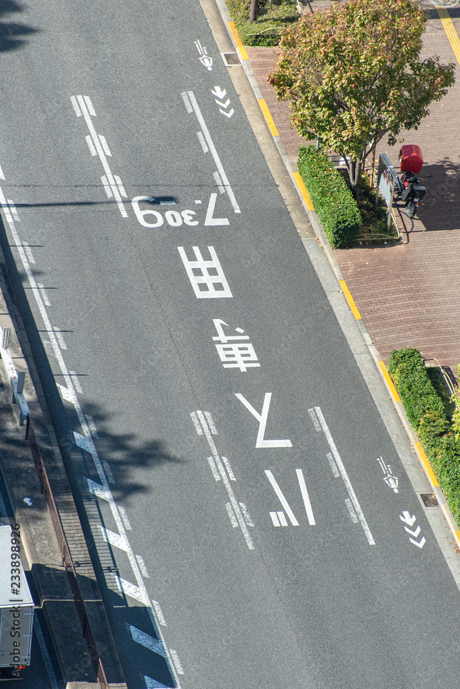 Φωτογραφία 道路のバス専用レーン 自転車優先レーンの道路表示