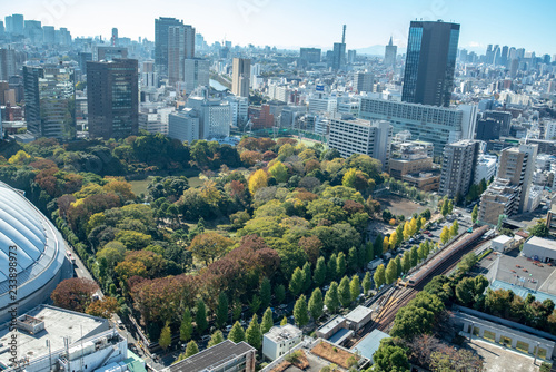 文京区後楽園界隈 都立小石川後楽園 旧水戸藩徳川家上屋敷日本庭園 photo