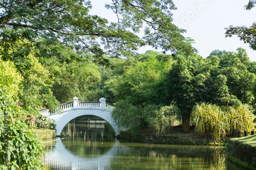 Fototapeta Naklejka Na Ścianę i Meble -  bridge in the park
