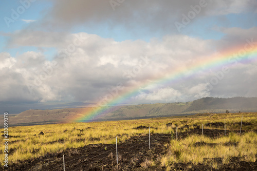 Regenbogen auf Big Island  Hawaii