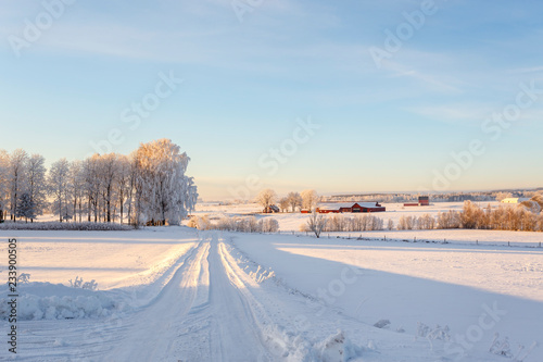 Winter road in the countryside © Lars Johansson