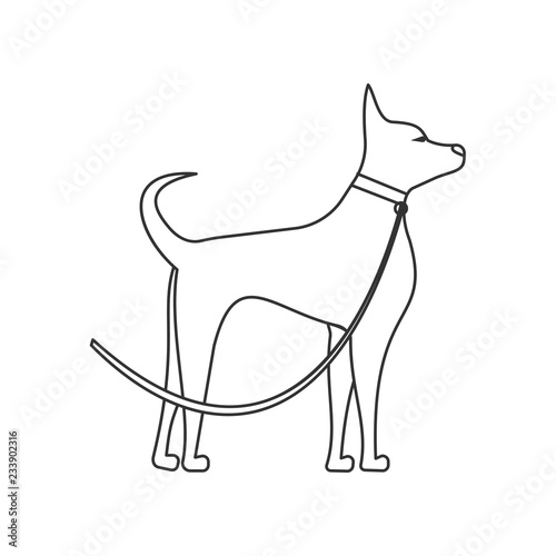 dog side view linear illustration. Pets and grooming
