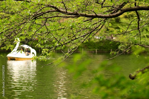 Inokashira Park