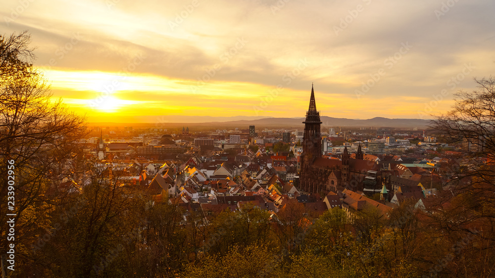 Germany, Freiburg im Breisgau