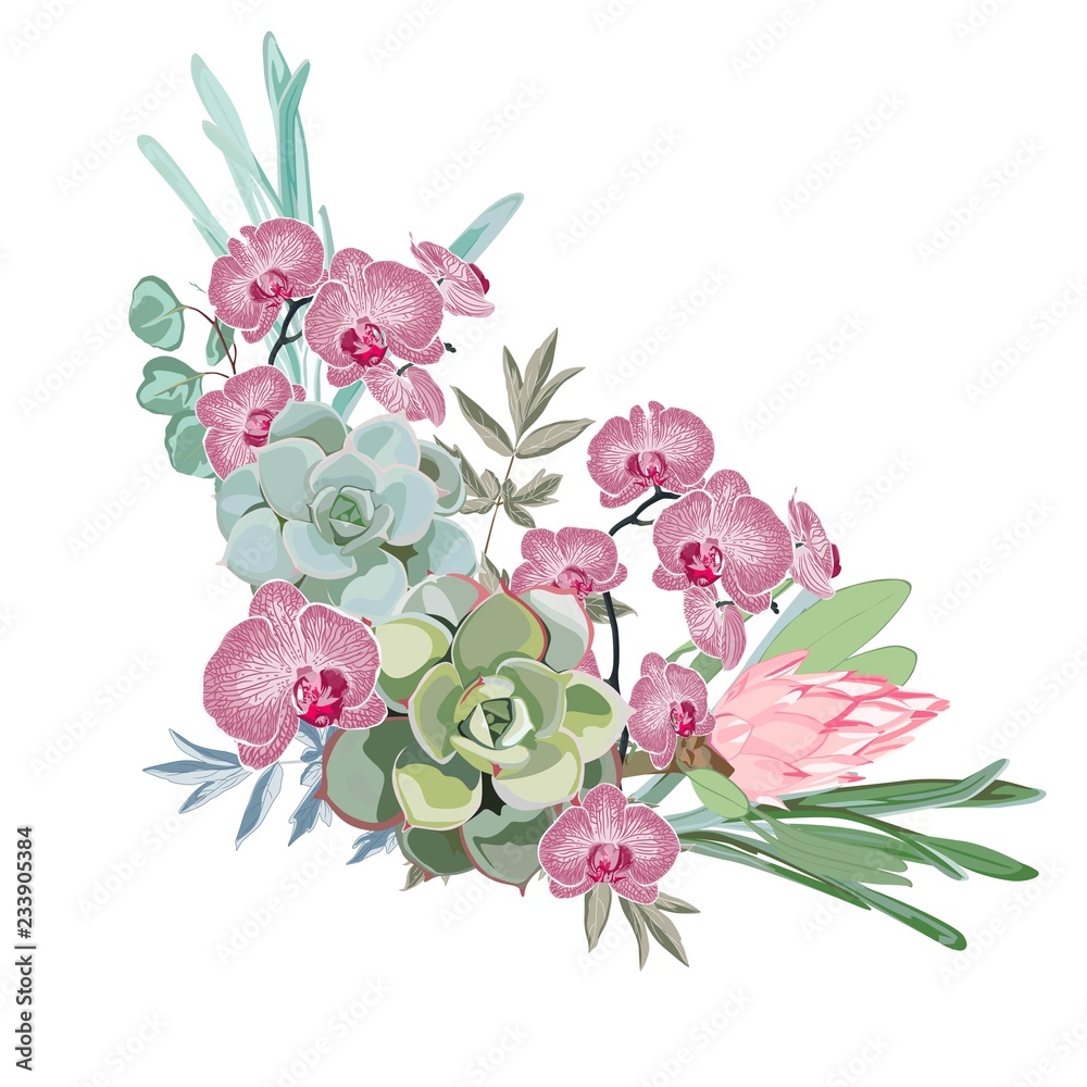 Exotic tropical orchid flowers bouquet elegant card element. Floral poster, invite. Arrangements for greeting card or invitation design.