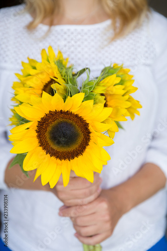 Fototapeta Naklejka Na Ścianę i Meble -  A closeup of a woman's hand holding beautiful large sunflowers. Flowers as a gift. Holiday concept