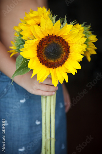Fototapeta Naklejka Na Ścianę i Meble -  A boy is holding a bouquet of large beautiful sunflowers. Holiday concept