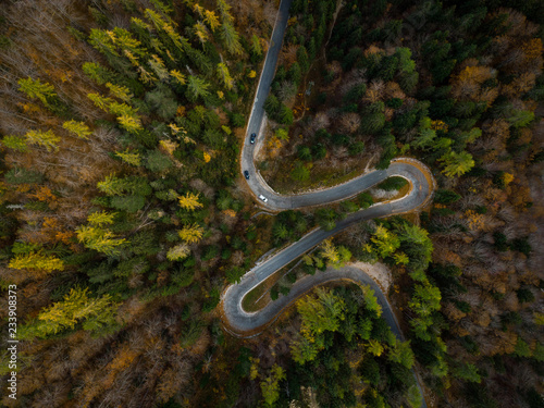Winding road in mountains, fall woodlands, drone view from above