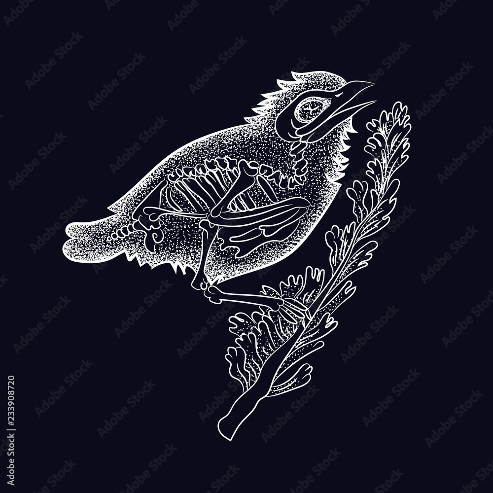 Obraz premium Vector illustration set of moon phases. Different stages of moonlight activity in vintage engraving style