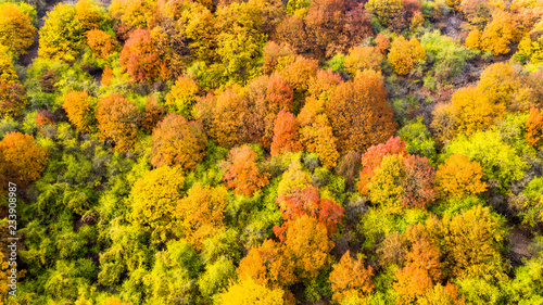 Aerial view, autumn forest, Upper Middle Rhine Valley, Rhineland-Palatinate, Germany
