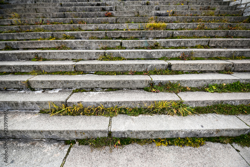 Stairs with grass