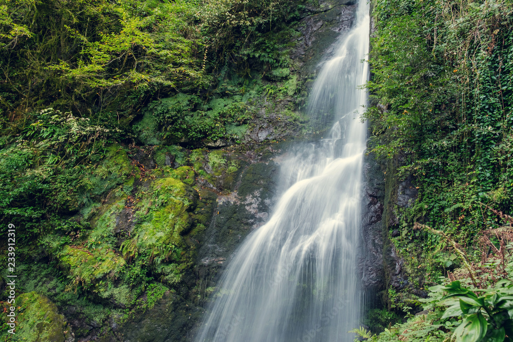 Waterfall in the green forest