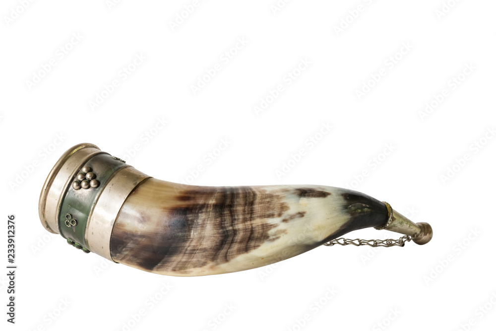 Obraz premium Drinking horn