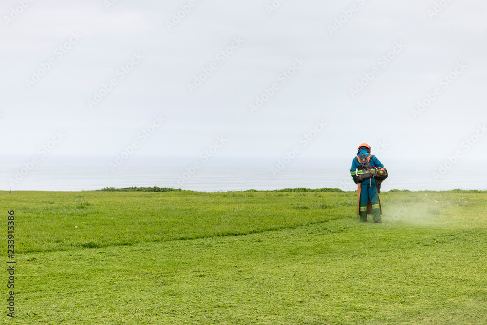 Gardener trimming the grass in a park