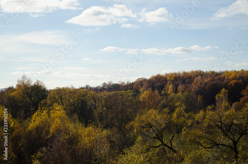 Autumn landscape: a multi-colored forest sun-drenched, blue sky with white clouds.