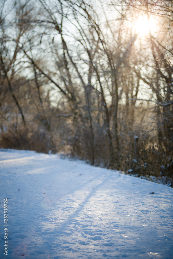 The road is covered with snow against the background of trees standing along the road on a sunny and frosty morning. natural concept The road is covered with snow against the background of trees standing along the road on a sunny and frosty morning. natural concept