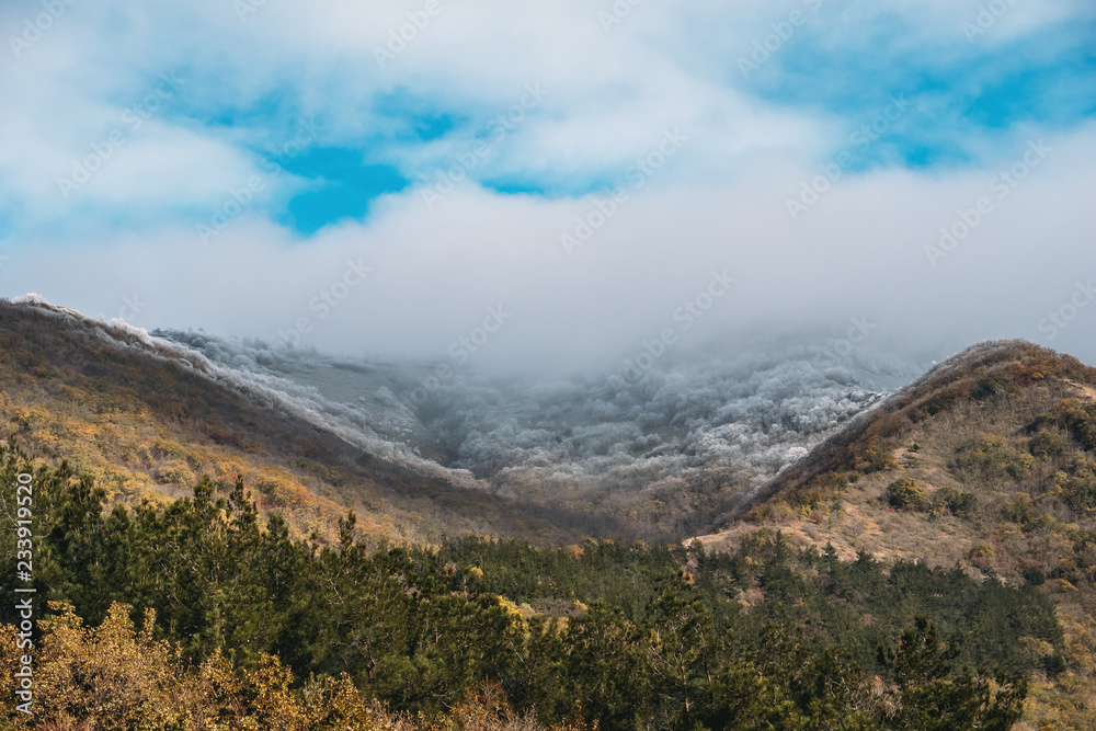 Tops of mountains in low thick clouds and trees covered with hoarfrost, morning hills panorama