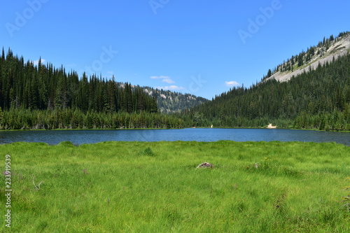 A birds eye view of Coeur d Alene River