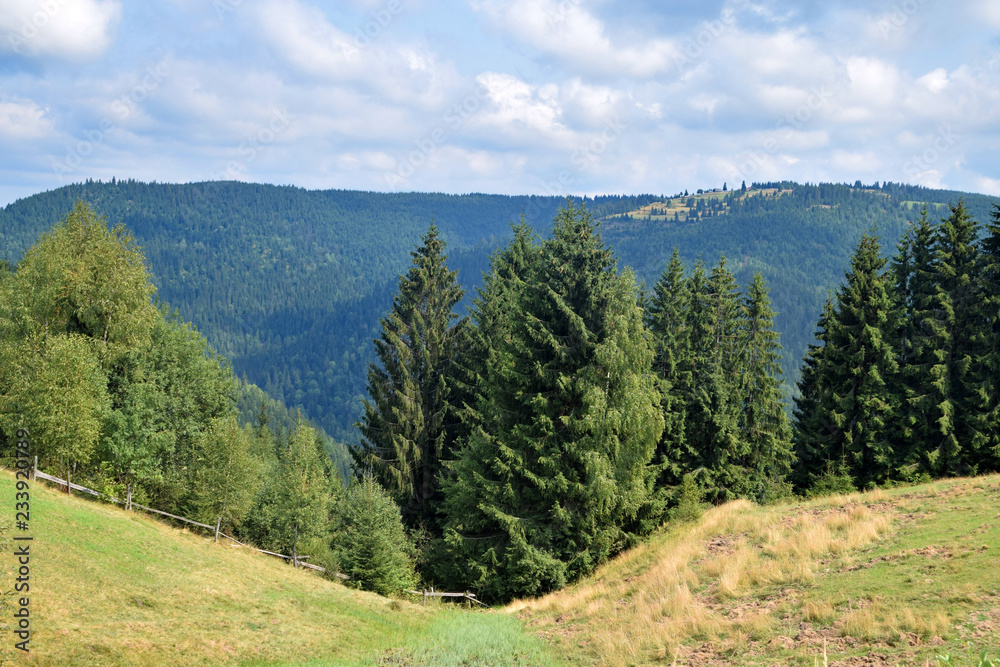Rural landscape at Carpathian Mountains, nature at summer Rural landscape at Carpathian Mountains, nature at summer