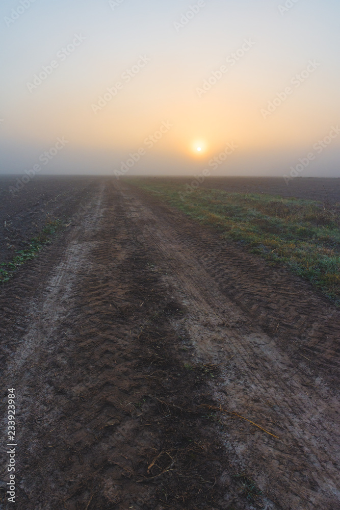 Fototapeta premium Sunrise in the fog over the road in the field