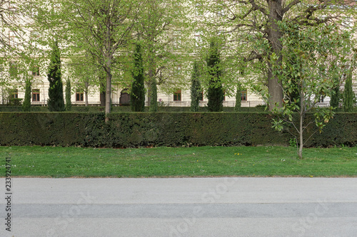 Road side view. Street greenery environment.