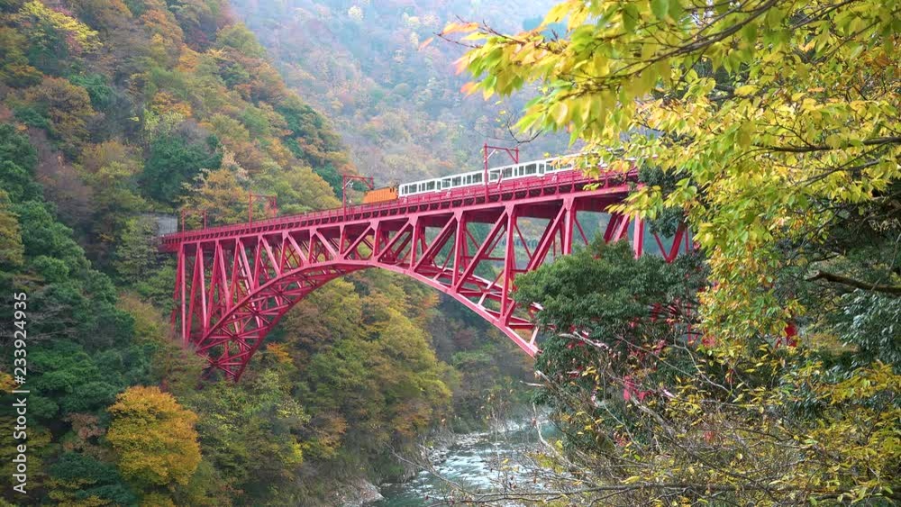 秋の黒部峡谷鉄道のトロッコ電車　日本の富山県黒部市宇奈月温泉