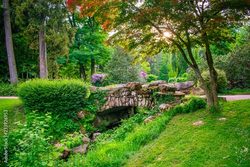 Fototapeta Naklejka Na Ścianę i Meble -  garden in spring with a bridge
