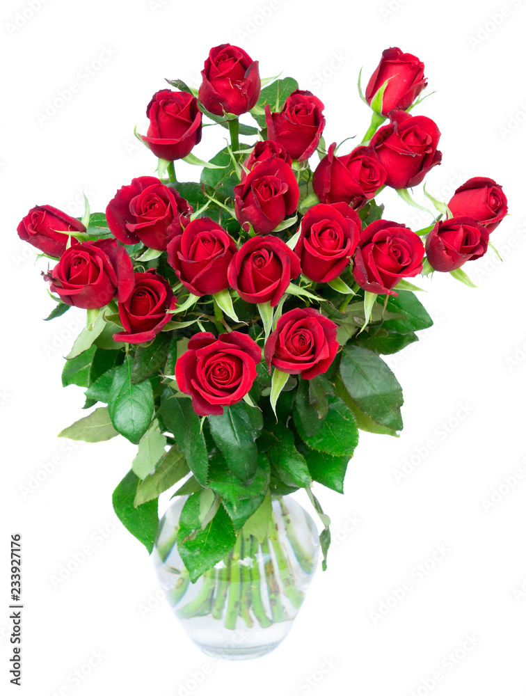 Dark red rose buds with green leaves for Valentines Day in glass vase isolated on white background Dark red rose buds with green leaves for Valentines Day in glass vase isolated on white background